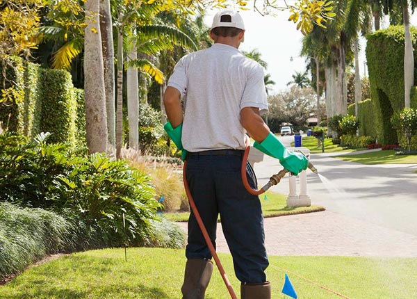 About Sallisaw OK Pest Control